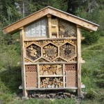 Insektenhotel